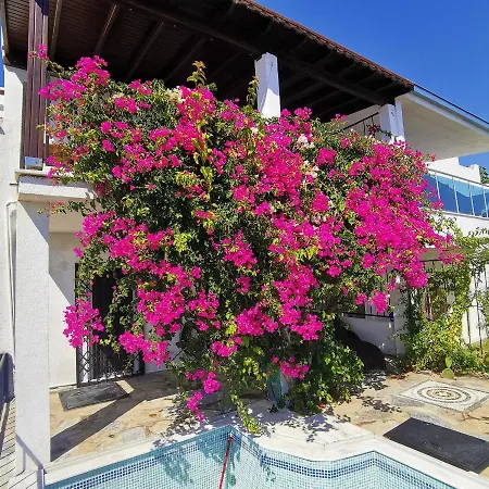 דירה Zentrales Ferienhaus Bodrum Bogazici Fur Min. 6 Personen Meeraussicht *